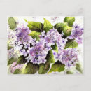 Recherche de lacet cartes postales Fleurs