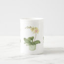 Recherche de orchidées tasses Mère