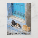Recherche de porte bleue cartes postales Chefchaouen