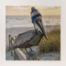 Recherche de pelican puzzles Tropical