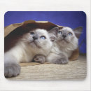Recherche de yeux bleus tapis souris Humour