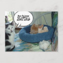 Recherche de humour noir chat cartes postales Animal