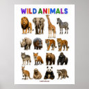 Recherche de animaux zoo posters Sauvage