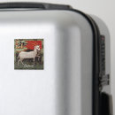 Recherche de chèvre magnets Anniversaire