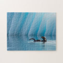 Recherche de loutre puzzles Loutre de mer