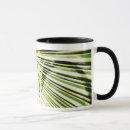 Recherche de graffiti mugs bouteilles Architecture