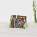 Recherche de heureux de koala en anniversaire cartes Mignon