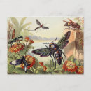 Recherche de insecte cartes postales Libellule