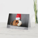 Recherche de porc noël cartes Animal