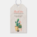 Recherche de fleur de désert Cactus