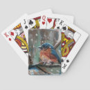 Recherche de oiseau bleu jeux de cartes Observation des oiseaux