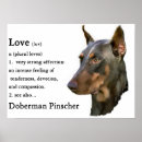 Recherche de dobx art Chien