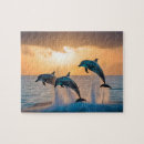 Recherche de dauphin puzzles Coucher de soleil