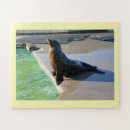 Recherche de otarie puzzles Mer