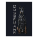 Recherche de doberman posters Chien de garde