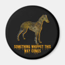 Recherche de whippets magnets Greyhound italien