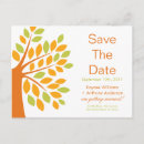 Recherche de mandarine cartes postales Vert