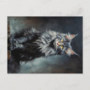 Recherche de maine coon cartes postales Chaton