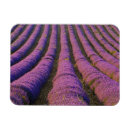 Recherche de provence magnets Tourisme