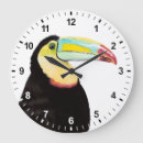 Recherche de toucan horloges Coloré