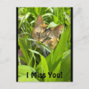 Recherche de missing you cartes postales Rater