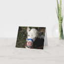 Recherche de génisse vœux cartes Vache
