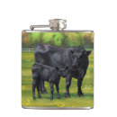 Recherche de vache bar Animaux de ferme