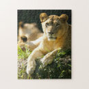 Recherche de tanzanie puzzles Safari