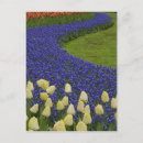 Recherche de paysage fleuri cartes postales Bleu
