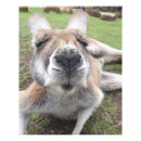 Recherche de visage drôle posters Ami