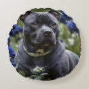 Recherche de bull terrier coussins Dog
