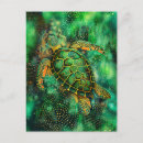 Recherche de peinture de tortue cartes postales Mer