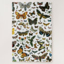 Recherche de grand papillon puzzles Insecte