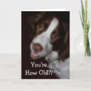 Recherche de d espagnole drôle anniversaire cartes Dog