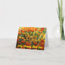 Recherche de champ vœux cartes Tulipes
