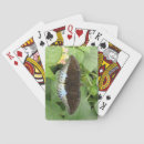 Recherche de joli papillon jeux de cartes Jolie