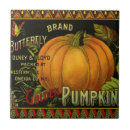 Recherche de citrouille carreaux Halloween