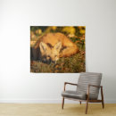 Recherche de somnolent art Animal