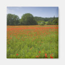 Recherche de agricole magnets Dehors