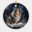 Recherche de généalogie ornements Noël
