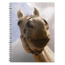 Recherche de cheval gris carnets Amoureux des chevaux