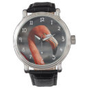 Recherche de flamants roses montres Nature