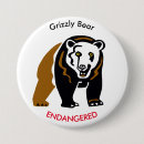Recherche de ours brun badges Faune