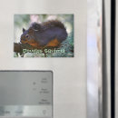 Recherche de créature mignonne magnets Pour tous