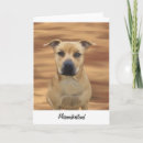 Recherche de de bull terrier vœux cartes Pitbull