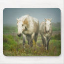 Recherche de camargue tapis souris Ferme