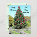 Recherche de noël floride cartes postales Photos d'alligator