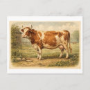 Recherche de animaux de basse cour cartes postales Ferme