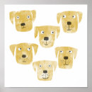 Recherche de chiot golden retriever posters Mignon