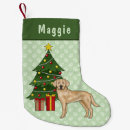 Recherche de labrador chaussette de noël Chien